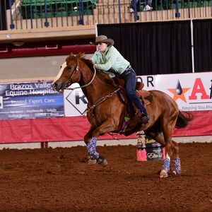 Meet your Posher, Rhiannon